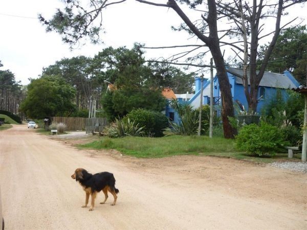 Lote en venta de 600 m2 en Montoya, La Barra.