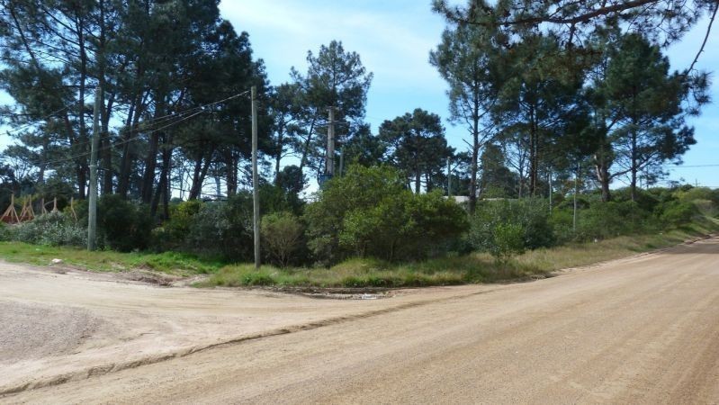 Terreno esquinero en la calle principal de Chihuahua a 300 metros del mar