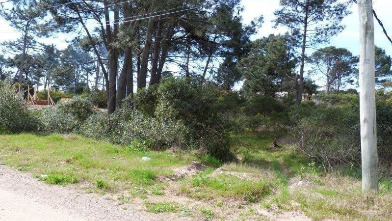 Terreno esquinero en la calle principal de Chihuahua a 300 metros del mar