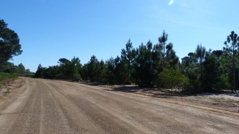 Excelente manzana en Chihuahua con costa de Arroyo