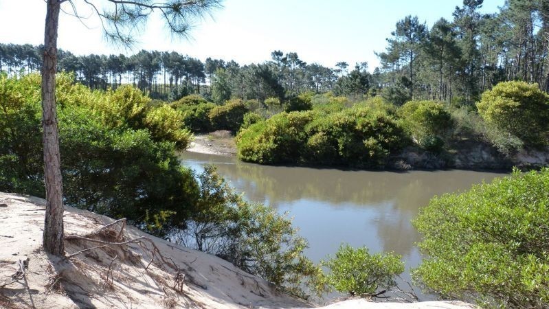 Excelente manzana en Chihuahua con costa de Arroyo