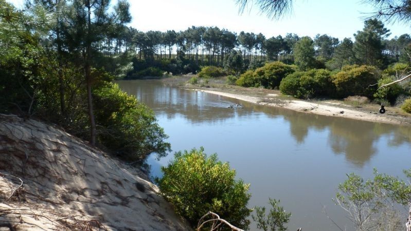 Excelente manzana en Chihuahua con costa de Arroyo