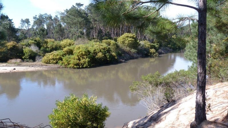 Excelente manzana en Chihuahua con costa de Arroyo