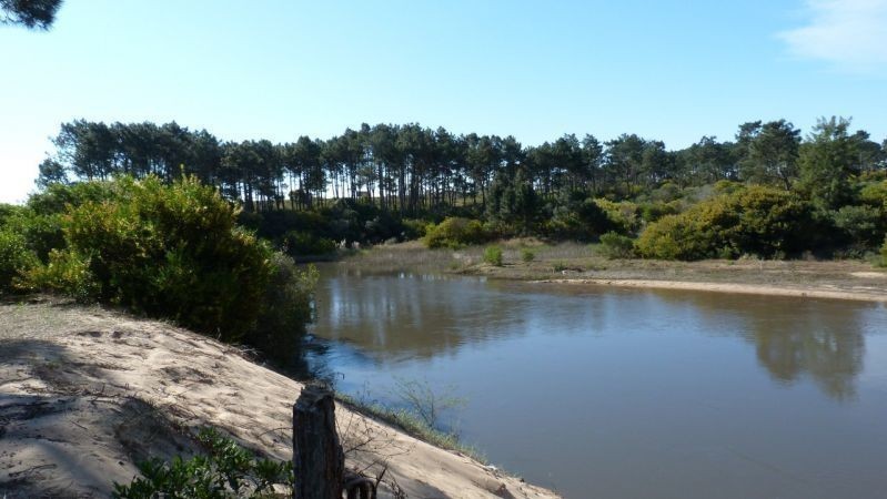 Excelente manzana en Chihuahua con costa de Arroyo