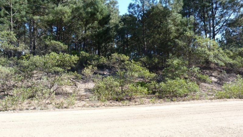 Terreno en Chihuahua con 1033 m2