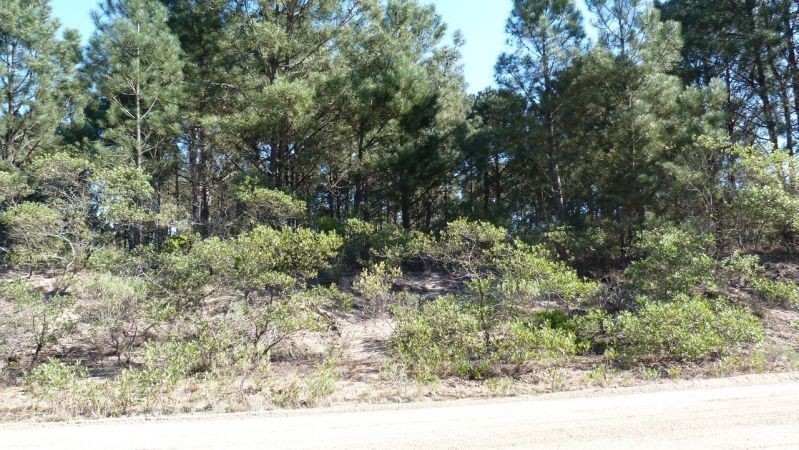Terreno en Chihuahua con 1033 m2