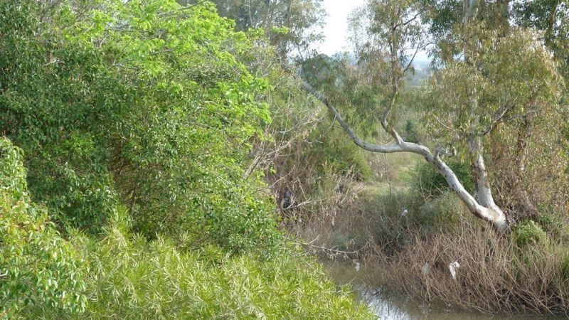 325,32 hectáreas a 10 km de Maldonado con costa sobre el arroyo