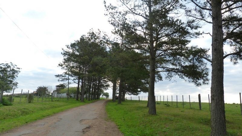 325,32 hectáreas a 10 km de Maldonado con costa sobre el arroyo