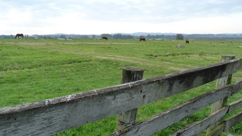 325,32 hectáreas a 10 km de Maldonado con costa sobre el arroyo