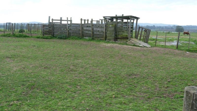 325,32 hectáreas a 10 km de Maldonado con costa sobre el arroyo
