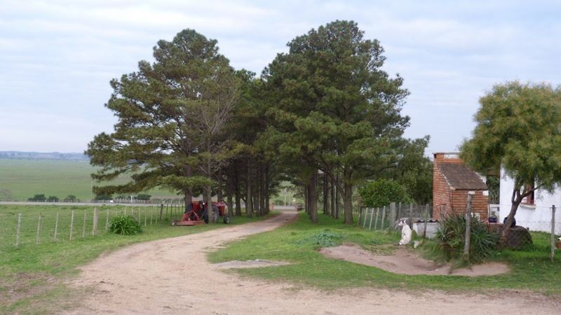 325,32 hectáreas a 10 km de Maldonado con costa sobre el arroyo