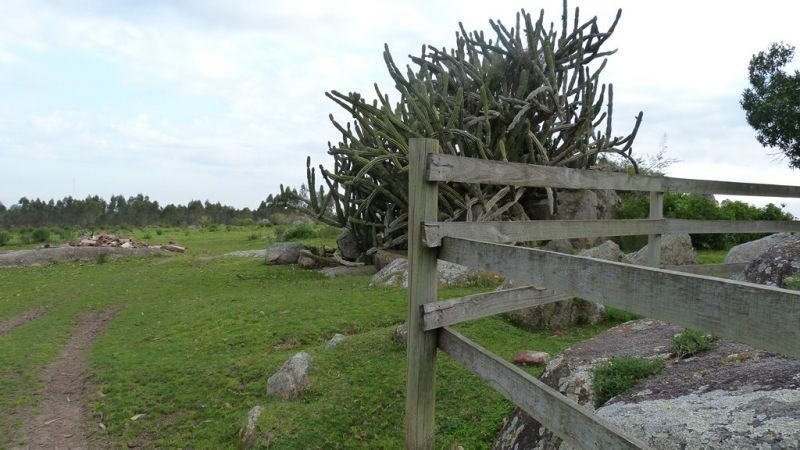 325,32 hectáreas a 10 km de Maldonado con costa sobre el arroyo