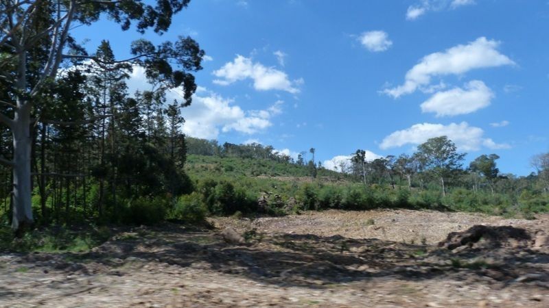 Chacra en Abra de Perdomo en pleno cerro con excelentes vistas.