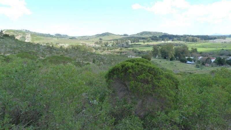 Chacra en Abra de Perdomo en pleno cerro con excelentes vistas.