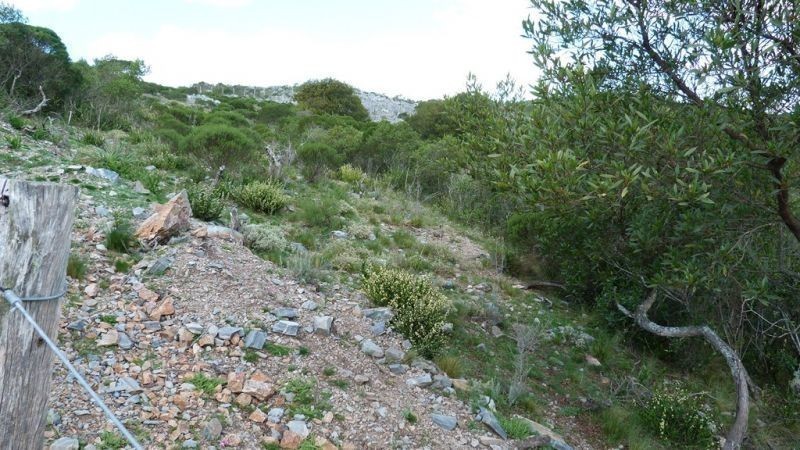Chacra en Abra de Perdomo en pleno cerro con excelentes vistas.