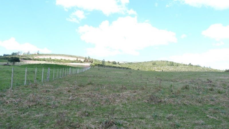 Chacra en Abra de Perdomo en pleno cerro con excelentes vistas.