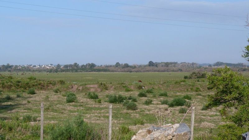 Buen campo ideal pastoreo ubicado a 2 km de San Carlos