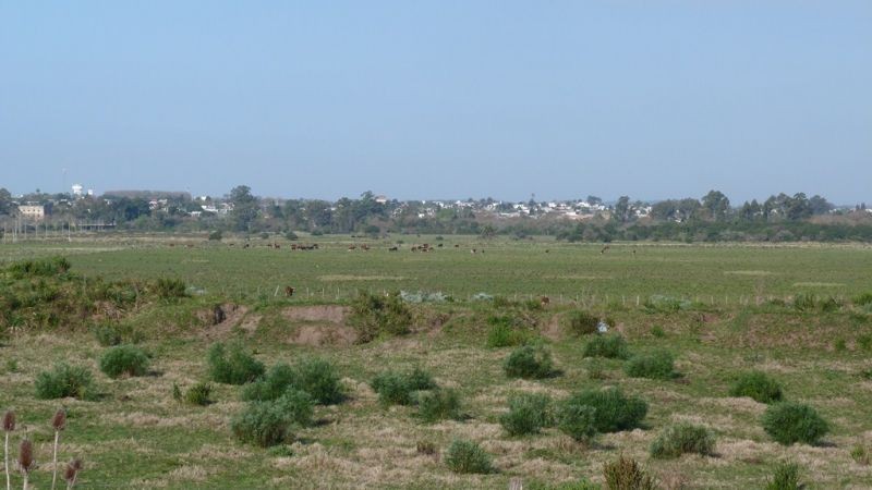 Campo sobre el arroyo Maldonado