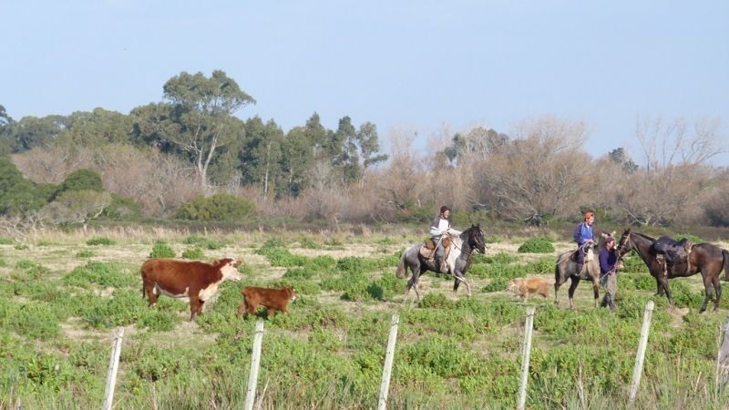 Campo sobre el arroyo Maldonado