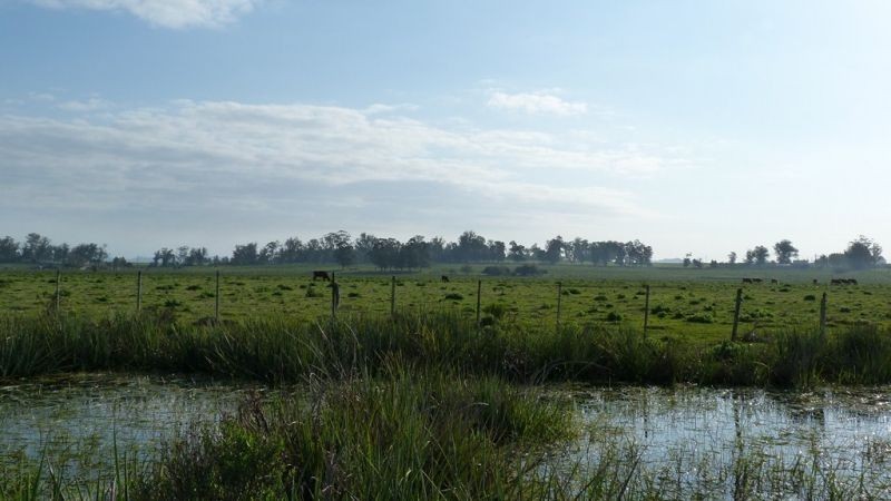 Campo sobre el arroyo Maldonado