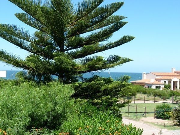 Muy linda casa a 100 metros de la mejor Playa de Punta del Este.