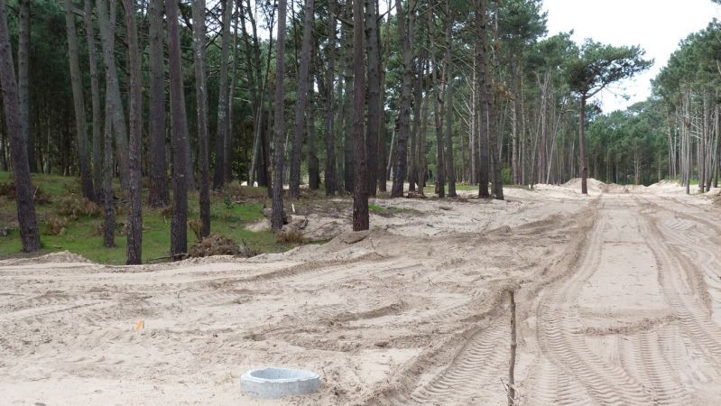 Fraccionamiento en Pinares, Parque Burnett, parada 35. Terrenos de 1.000  y 1.200 m2.