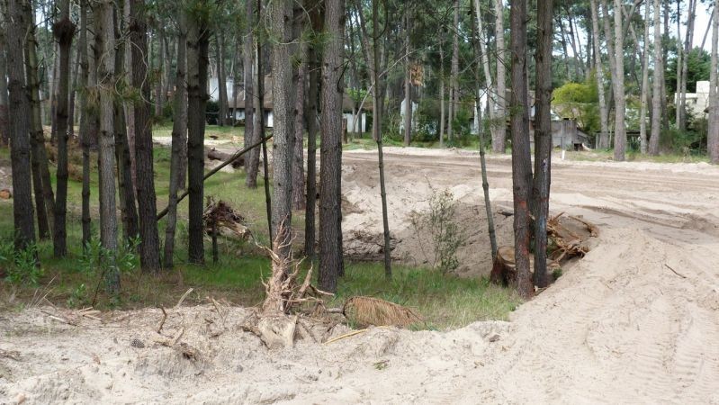Fraccionamiento en Pinares, Parque Burnett, parada 35. Terrenos de 1.000  y 1.200 m2.