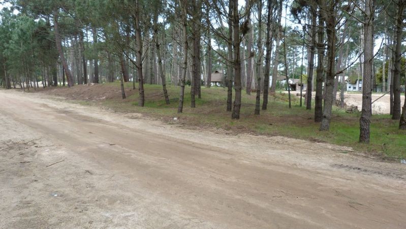 Fraccionamiento en Pinares, Parque Burnett, parada 35. Terrenos de 1.000  y 1.200 m2.
