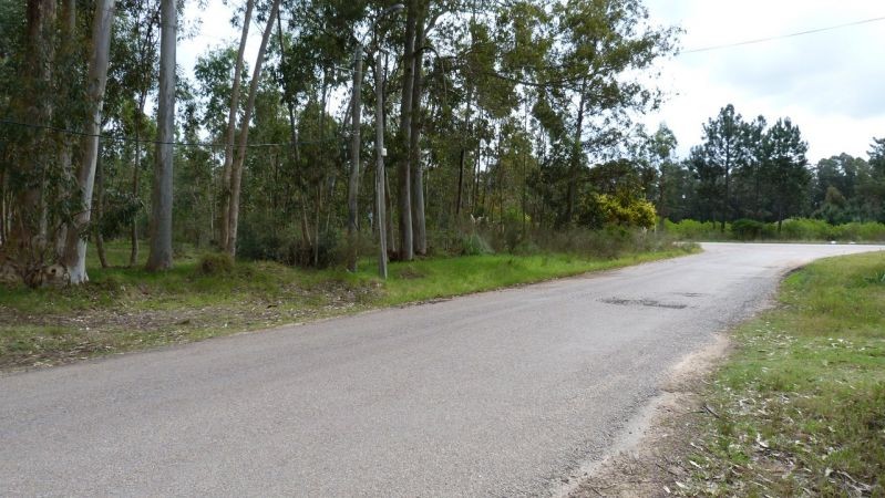 Terreno en Pinares, Parque Burnett, zona apta para edificio 4 pisos.