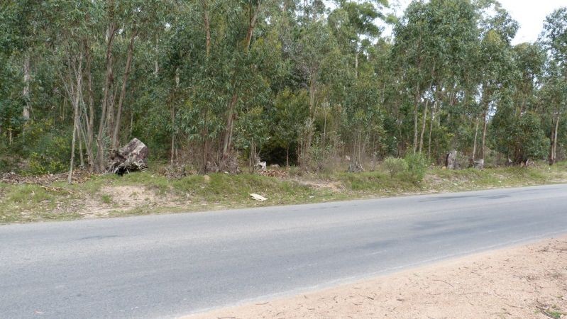 Terreno en Parque Burnett con 2.069 m2 apto 4 pisos.