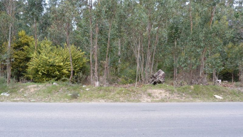 Terreno en Parque Burnett con 2.069 m2 apto 4 pisos.