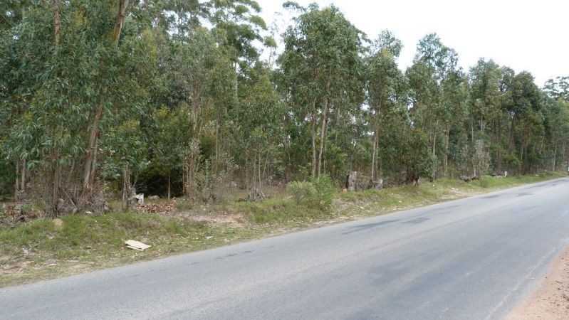 Terreno en Parque Burnett con 2.069 m2 apto 4 pisos.