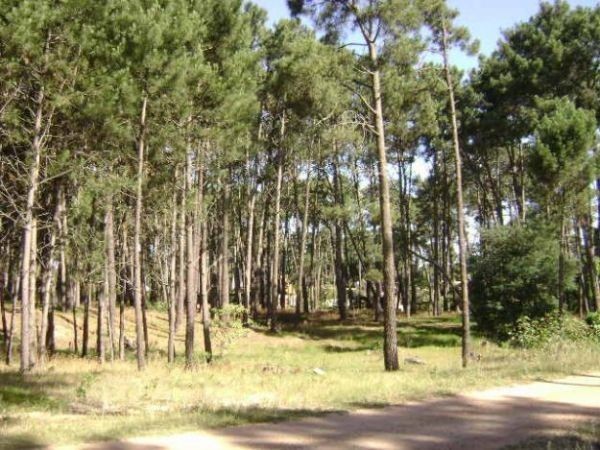 Excelentes terrenos de 1.000 m2 en Parque Burnett con buena financiación