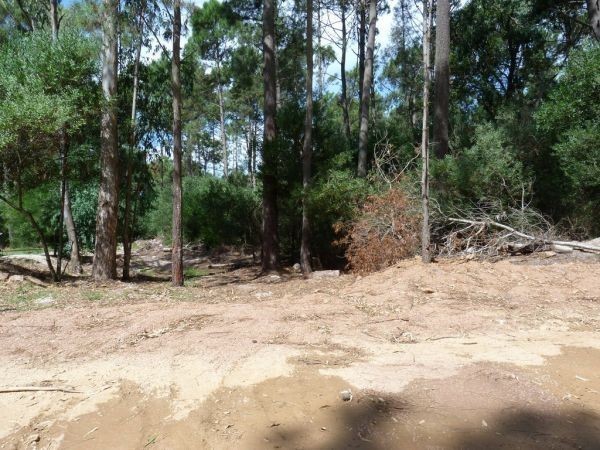 Compre un terreno en barrio cerrado con los servicios más completos de Solanas