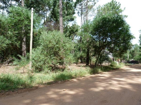 Compre un terreno en barrio cerrado con los servicios más completos de Solanas