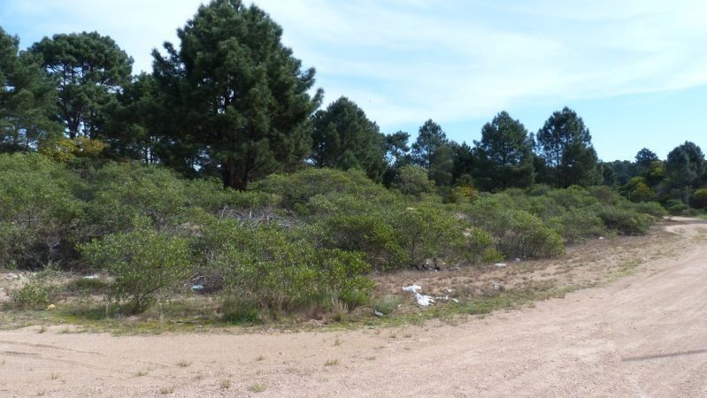 Muy lido terreno con buenas vistas y altura