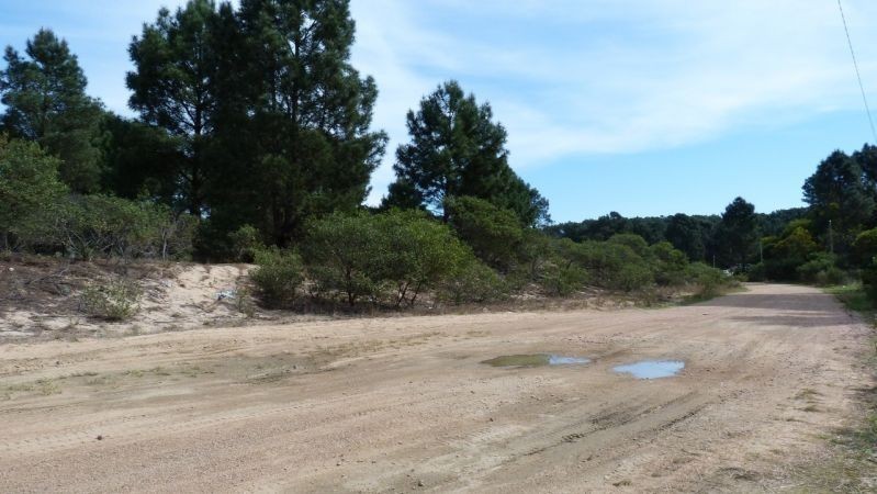 Cuatro terrenos muy lindos en buena zona de Chihuahua