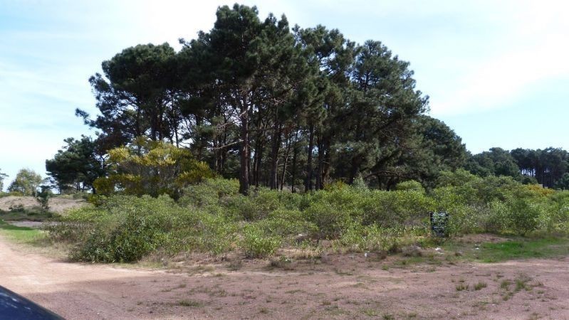 Dos lindos terrenos  a solo 100 metros de la avenida y 300 metros de la playa