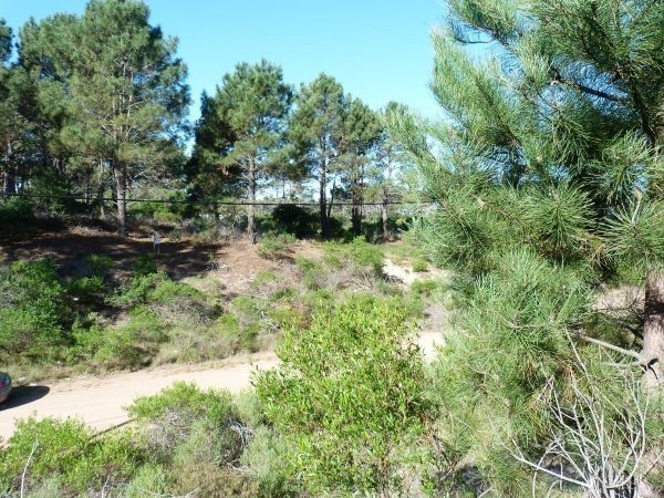 Cuatro terrenos en Chihuahua linderos a solo 300 metros de la playa