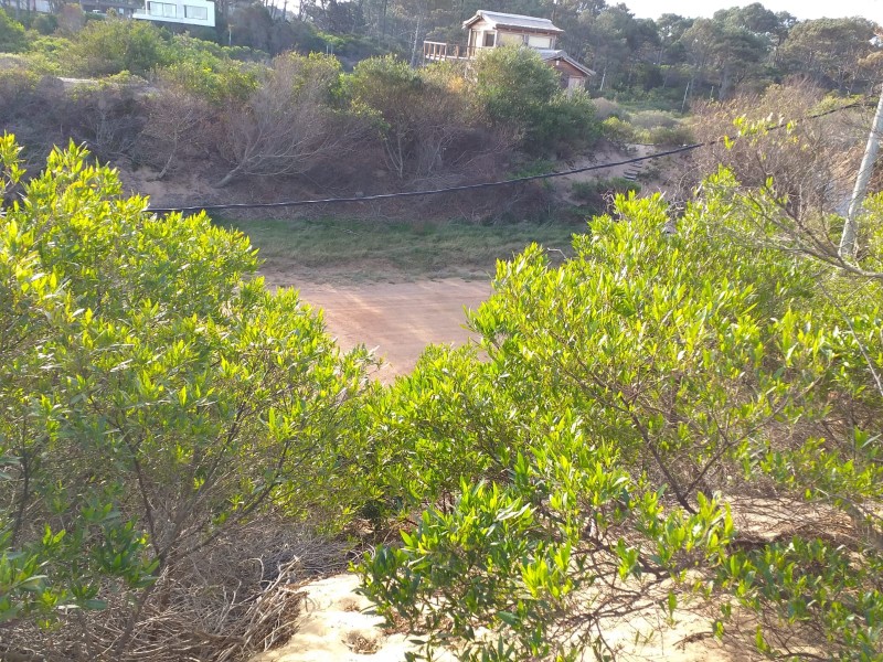 Excelente terreno a una cuadra del mar en Chihuahua