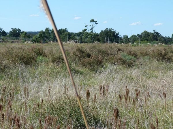 Buen terreno de 1076 m2 a solo 400 metros de la playa
