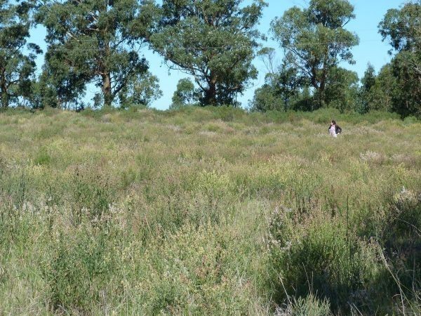 Buen terreno de 1076 m2 a solo 400 metros de la playa