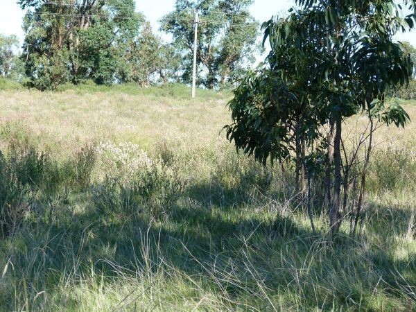 Buen terreno de 1076 m2 a solo 400 metros de la playa
