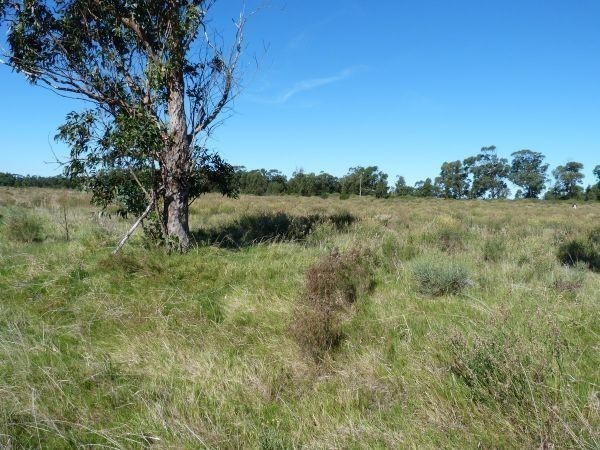 Buen terreno de 1076 m2 a solo 400 metros de la playa
