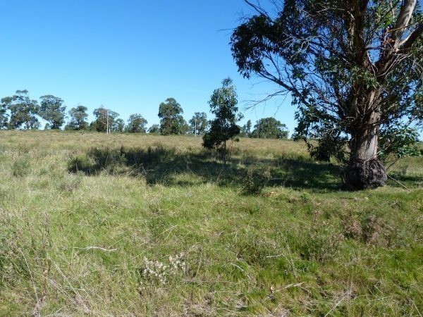 Buen terreno de 1076 m2 a solo 400 metros de la playa