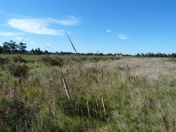 Buen terreno de 1076 m2 a solo 400 metros de la playa