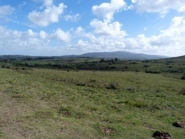 Chacras del cerro, entre la Sierra y el Mar.