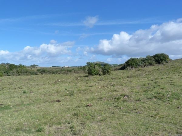 Chacras del cerro, entre la Sierra y el Mar.