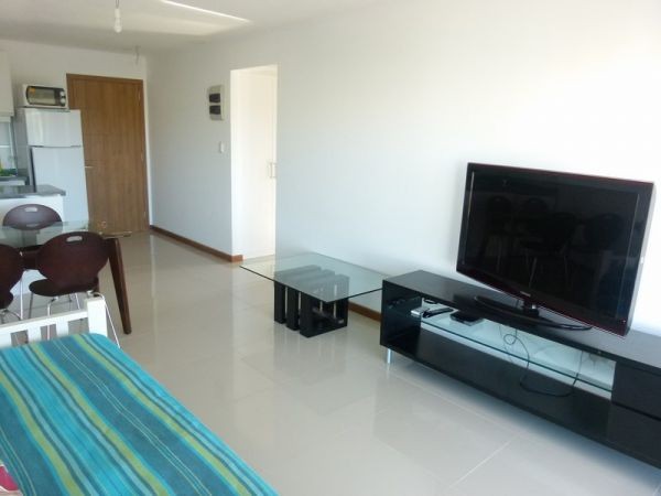Departamento Pent House de 1 dormitorio con parrillero propio y jacuzzi, playa Mansa, Punta del Este