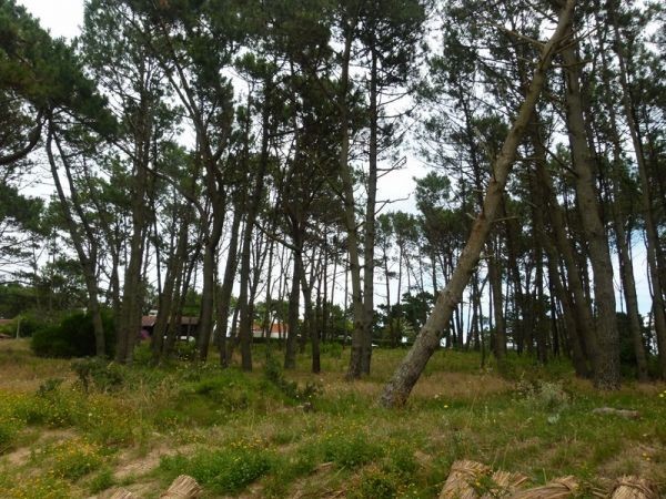 Terrenos en venta Parada 40 de Playa Mansa.